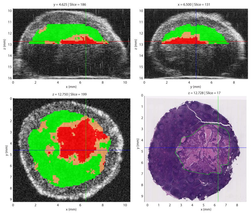 Fig. 7