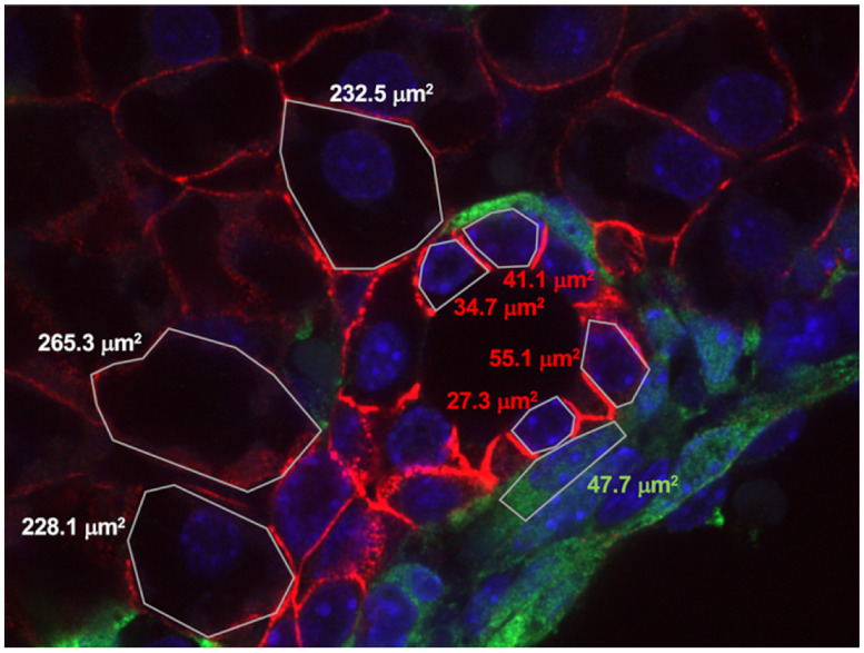 Fig 6