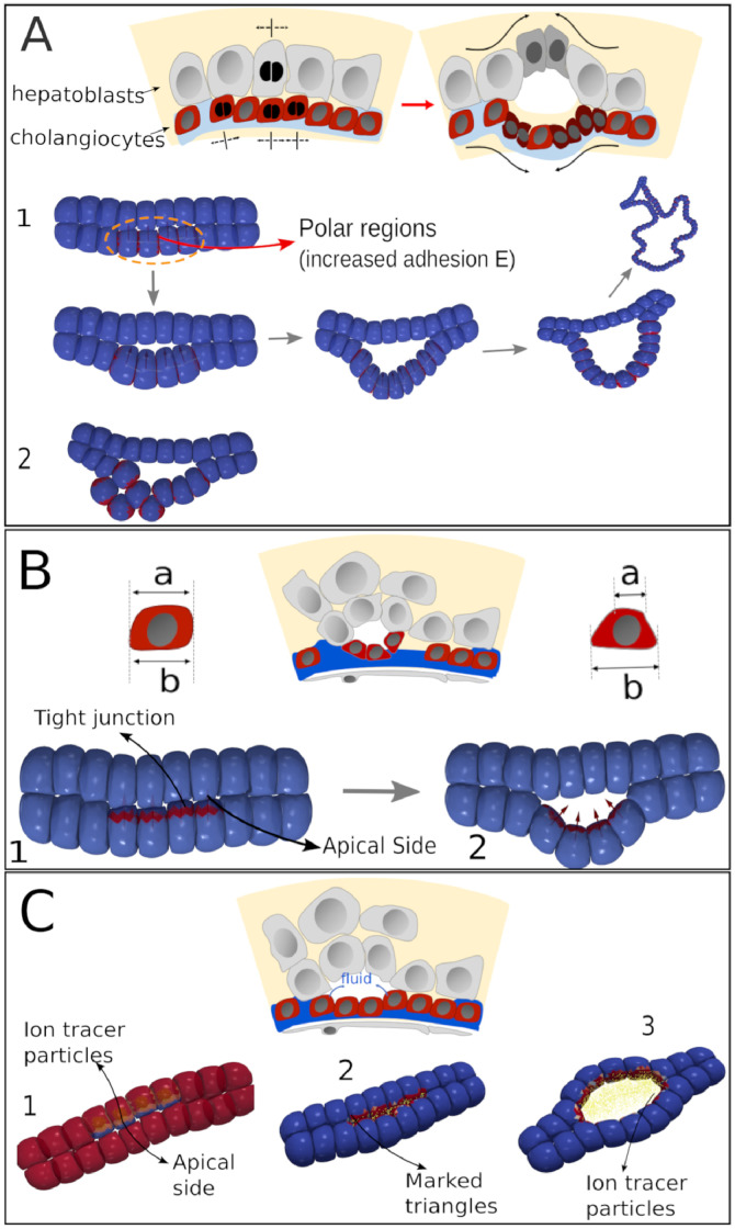 Fig 5