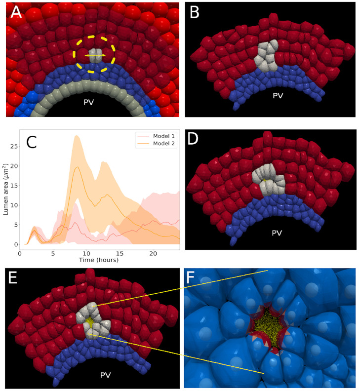 Fig 7