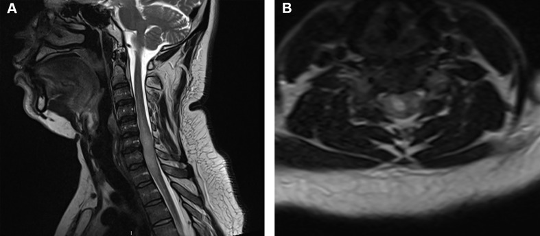 Figure 2