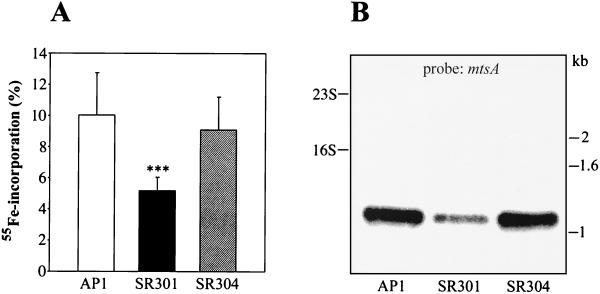 FIG. 1.