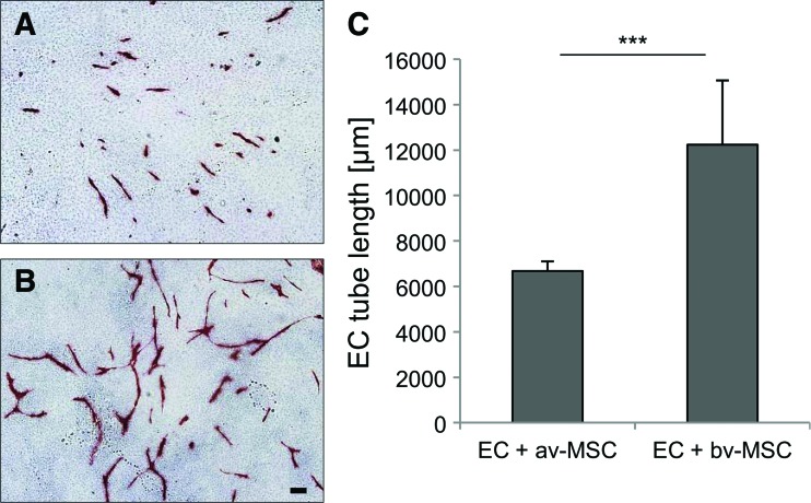 FIG. 11.