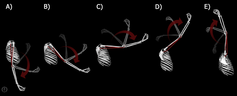 Fig. 1