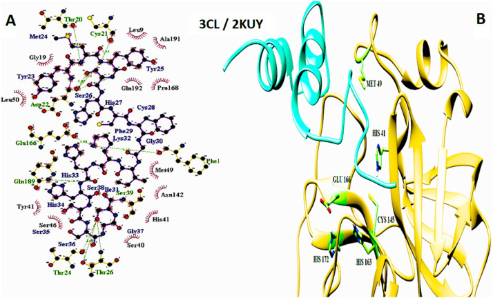 Fig. 6