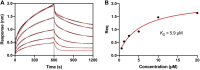 Figure 3—figure supplement 2.