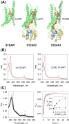 Figure 2—figure supplement 1.