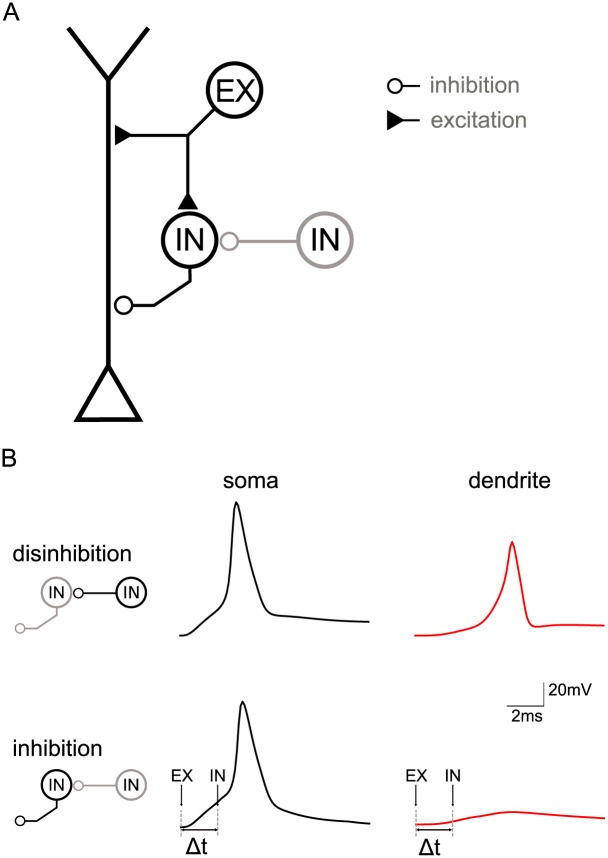 Fig 7