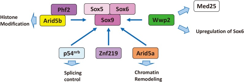 Fig. 3