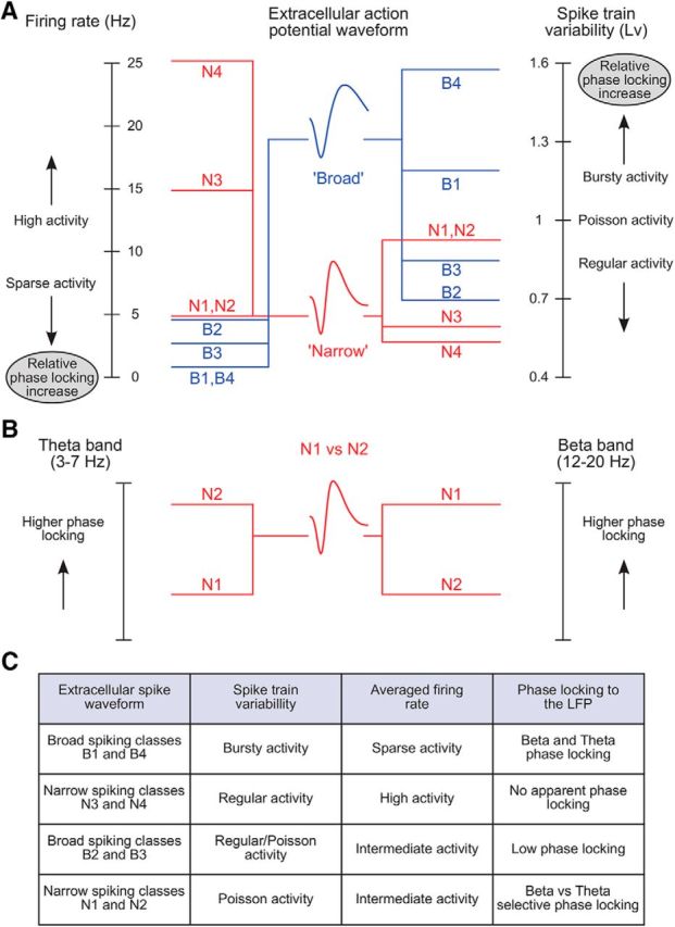 Figure 11.