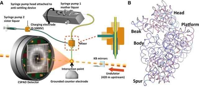 FIGURE 1.