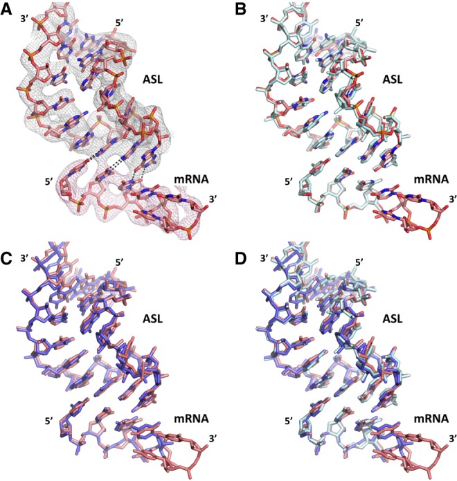 FIGURE 2.