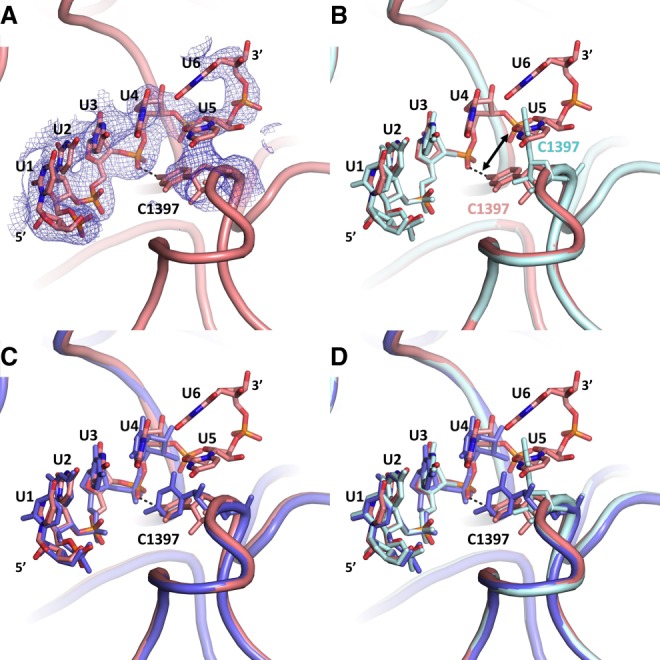 FIGURE 4.