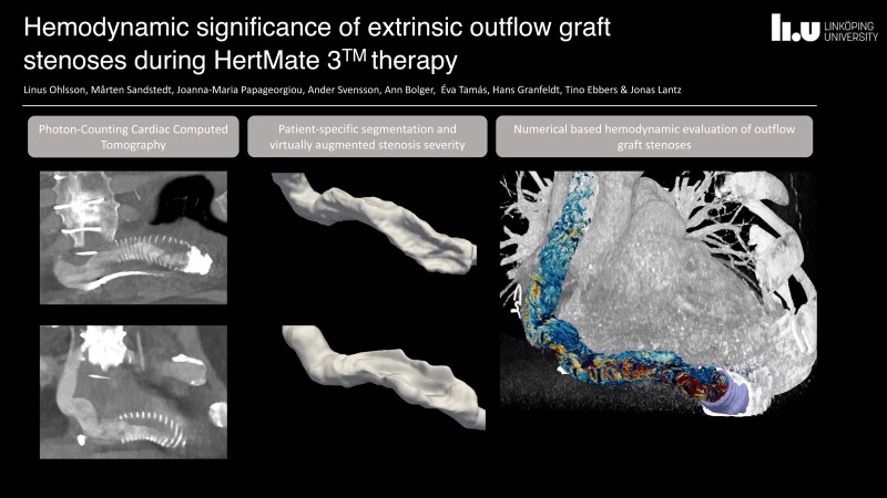 Graphical Abstract