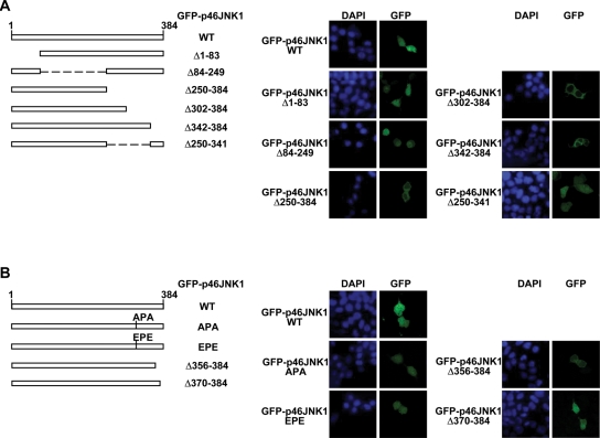 FIGURE 6: