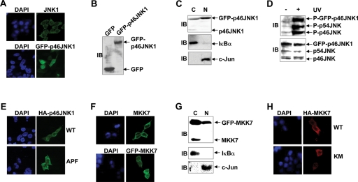 FIGURE 1: