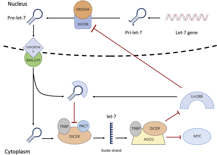 Figure 3