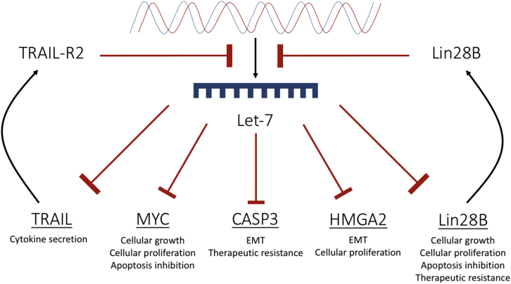 Figure 5