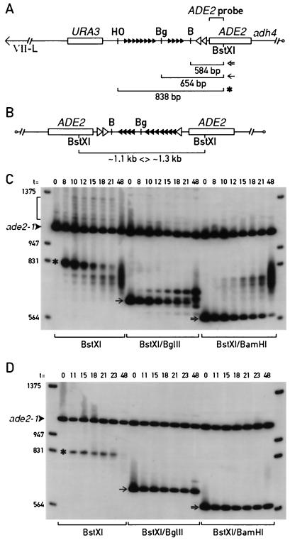 FIG. 7