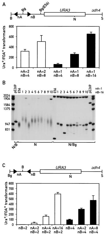 FIG. 4