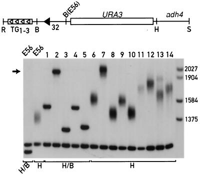 FIG. 3