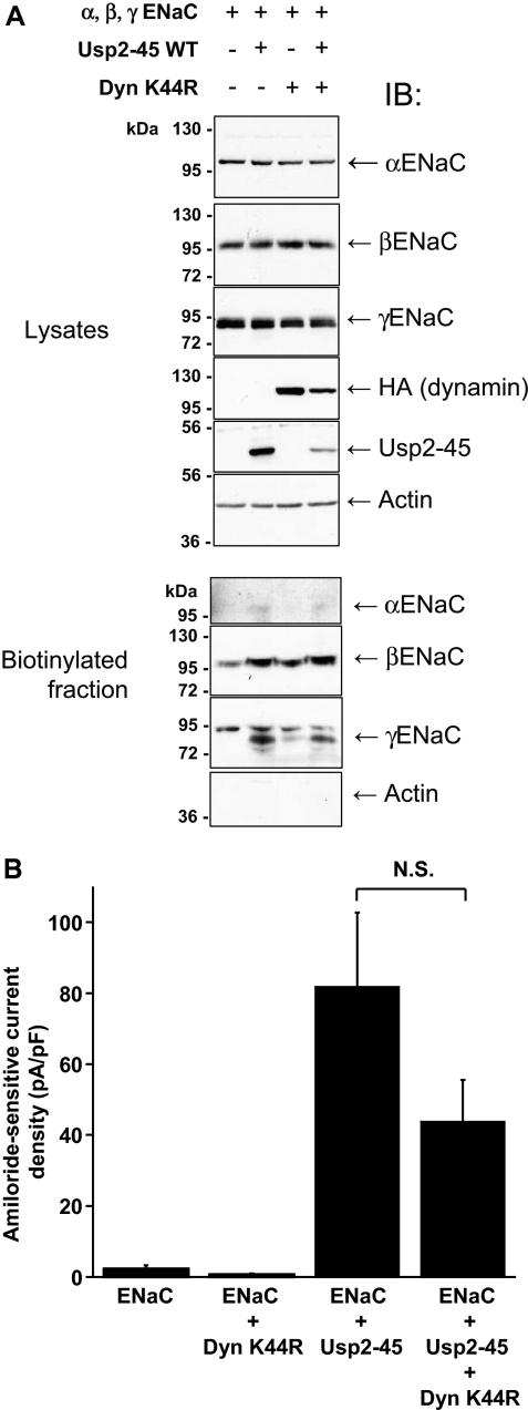 Figure 9.