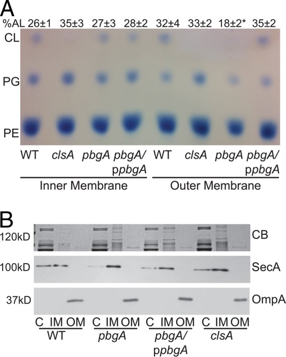 FIG 2 