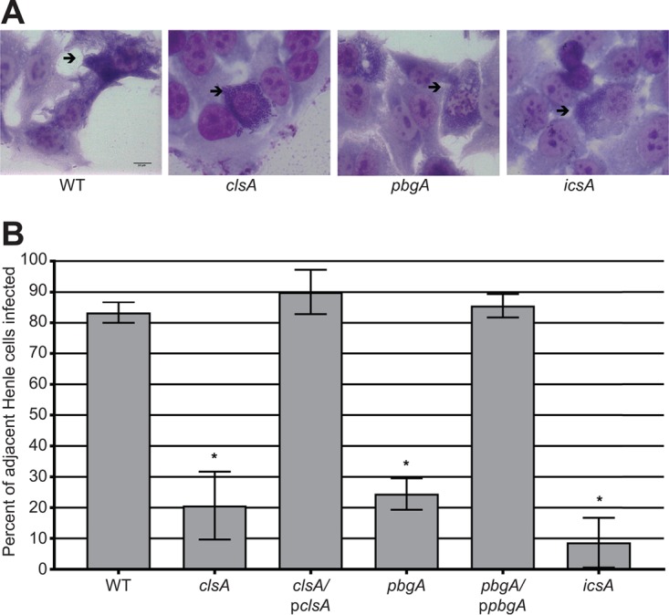 FIG 4 