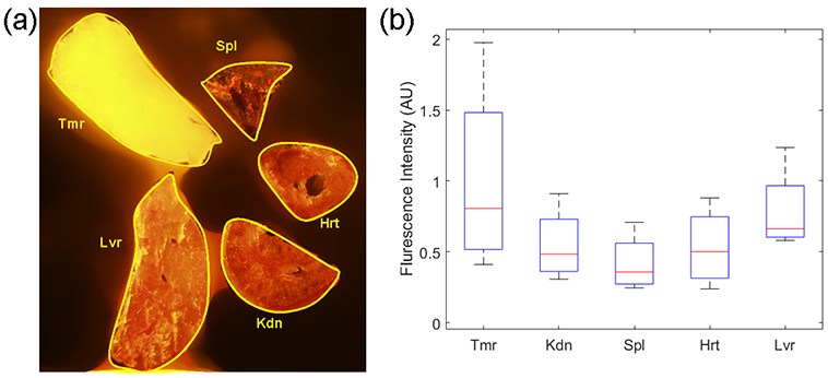 Figure 7.