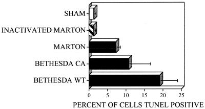 FIG. 8