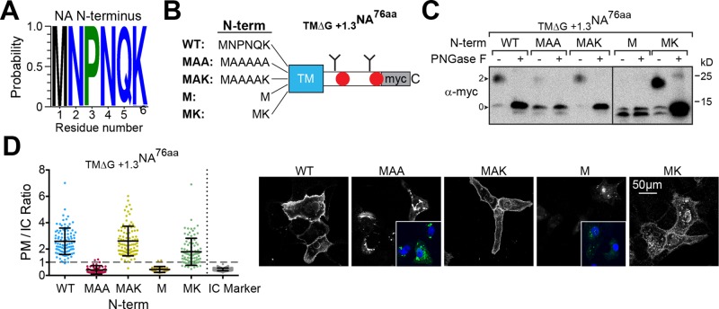 FIGURE 7: