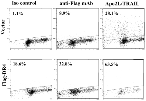 FIG. 5.