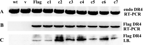 FIG. 4.