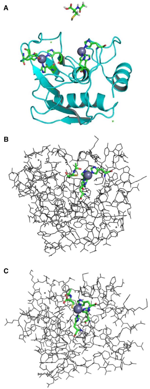 Fig. 5