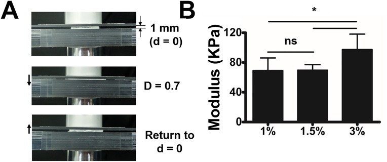 Fig. S7.