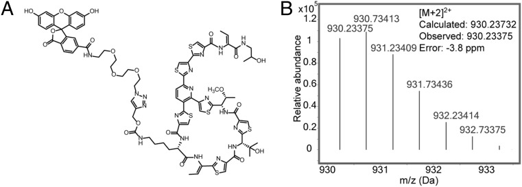 Fig. 3.