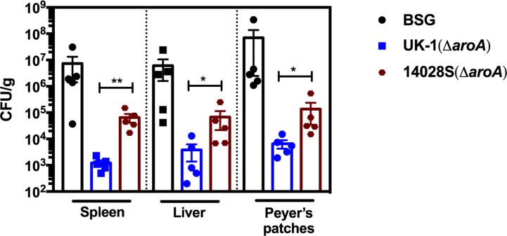 Fig 6