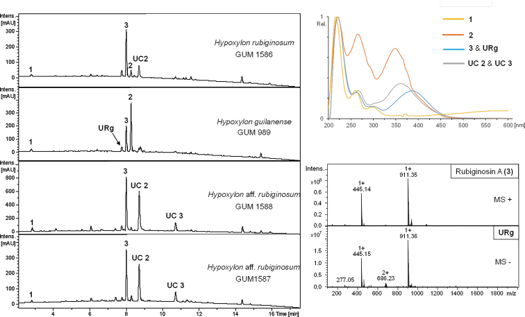 Figure 9.