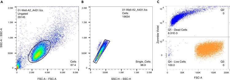 Figure 1