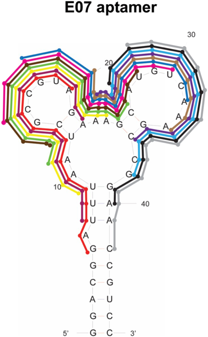Figure 3