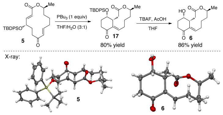 Scheme 3