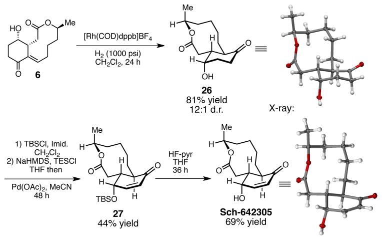 Scheme 4