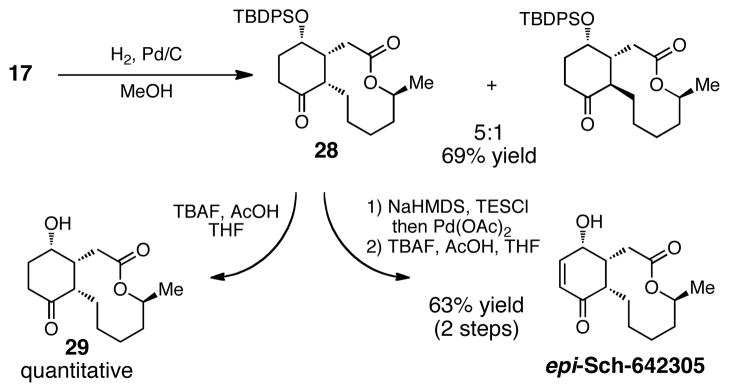 Scheme 5