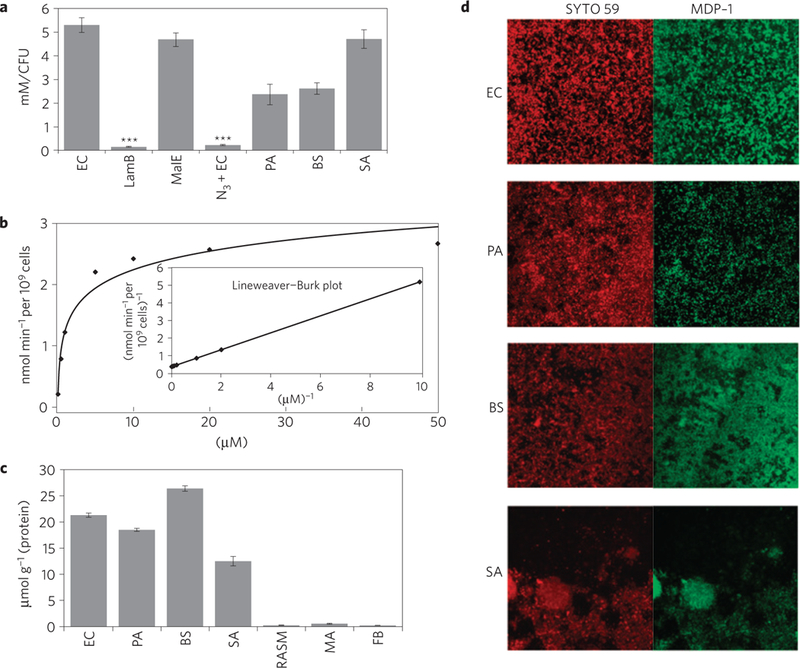 Figure 3|