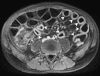 Fig. 8.