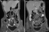 Fig. 9.