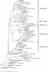 FIG. 1.