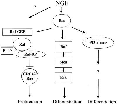 FIG. 7