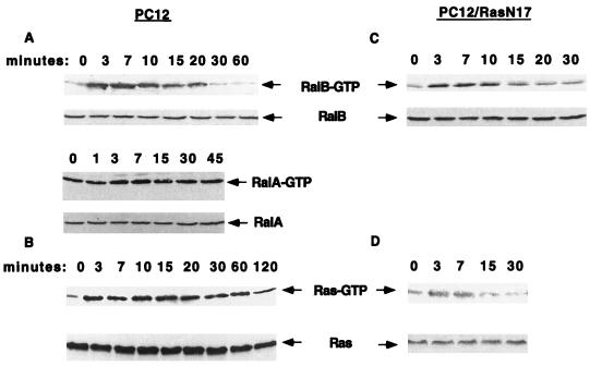 FIG. 6