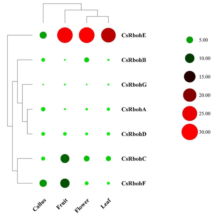 Figure 5